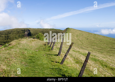 Zaun und Weg entlang der Vulkankrater Reserva Natural da Caldeira Faial, Insel Faial, Azoren, Portugal, Europa Stockfoto