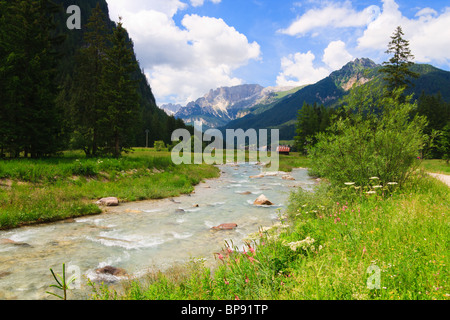 Mountain River fließt durch grünes Tal in den Dolomiten. Stockfoto