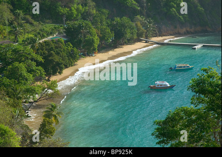 Bateau Bay, Speyside, Tobago, Karibik Stockfoto