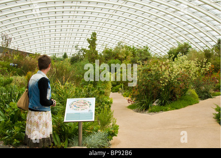 Großes Gewächshaus National Botanic Garden of Wales Stockfoto