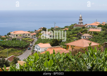 Häuser inmitten einer Bananenplantage, Madalena Do Mar, Madeira, Portugal Stockfoto