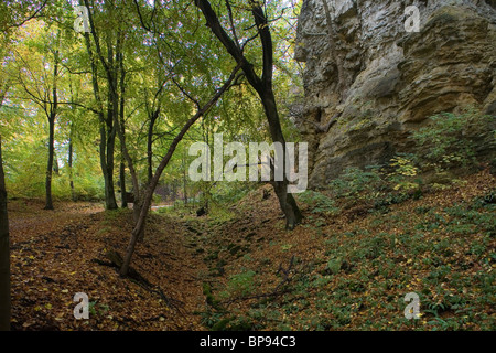 Wanderweg in den Deister-Hügeln in der Nähe von Hannover, Niedersachsen, Norddeutschland Stockfoto