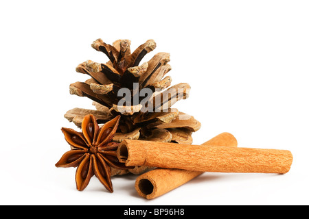 zwei Zimt-sticks einen Sternanis und einem Nadelbaum Kegel auf weißem Hintergrund Stockfoto