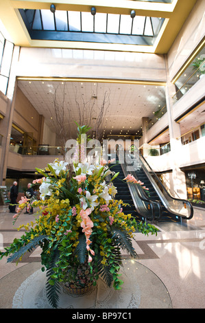 China, Suzhou. Bamboo Grove Hotel. Stockfoto