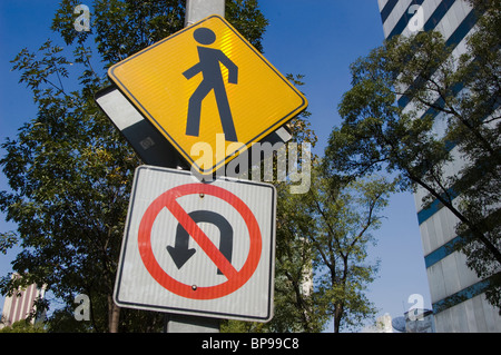 Zeichen Insurgentes Avenue-Mexiko-Stadt Stockfoto