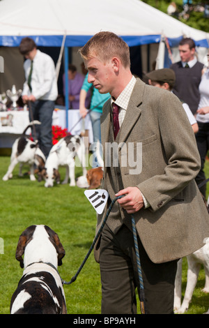 Ein Jagd-Anhänger und seine Fox Hound im Vale of Rydal Sheepdog Trials, Ambleside, Lake District, Großbritannien. Stockfoto