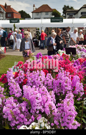 Großbritannien, England, Merseyside, Southport Flower Show, Besucher im Kindergarten Stall zu verkaufen bunte Bestände in Blüte Stockfoto