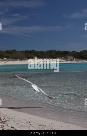 Es Trenc, Mallorca, Spanien Stockfoto