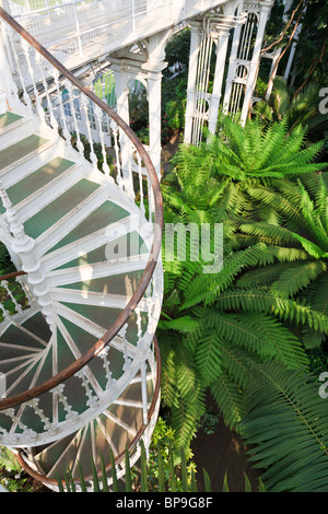 Eine Wendeltreppe im Victorian Temperate House im Royal Botanic Gardens, Kew, London Stockfoto