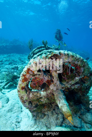 Teenager Taucher nähert sich eine Reihe von Winde Getriebe befindet sich an einem Tauchplatz, bekannt als das "Winde Loch" auf Melasse Reef. Stockfoto