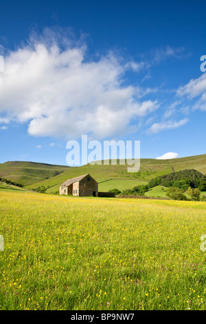 Stein-Scheune auf dem Weg zum Kinder Scout über dem oberen Stand an einem hellen und lebendigen Sonnentag im Peak District National Park. Stockfoto