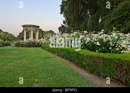 Wunderschönen Rosengarten der Huntington-Bibliothek. Stockfoto