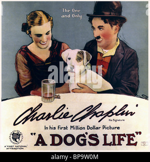 EDNA PURVIANCE, Charlie Chaplin POSTER, EIN HUND LEBEN, 1918 Stockfoto