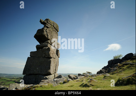 Bowerman die Nase, einen Stapel aus verwittertem Granit, auf Hayne Down in der Nähe von Manaton, Dartmoor. Stockfoto