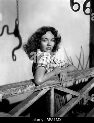 JENNIFER JONES DUELL IN DER SONNE (1946) Stockfoto