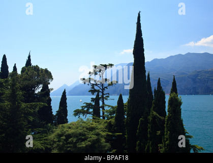 Italien, Gardasee durch die Zypressen von den Burgmauern von Malcesine, Veneto Stockfoto