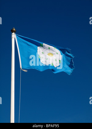 Offizielle Yorkshire county Flagge mit einer weißen Rose auf blauem Grund Stockfoto