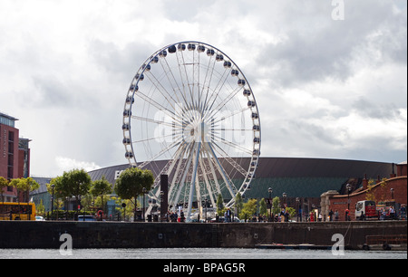 die "Liverpool-Rad" ein großes Riesenrad fahren am Albert Dock in Liverpool, England, UK Stockfoto