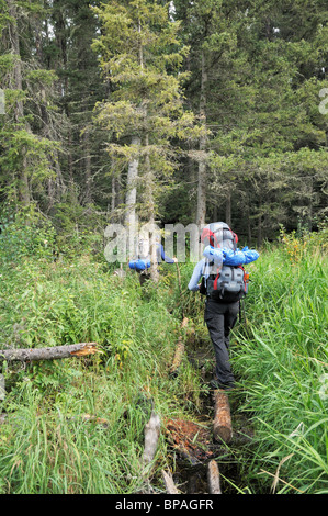 Rucksack im Prince Albert National Park. Auf die grau-Eule. Stockfoto