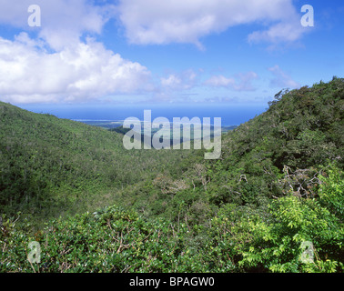 Blick auf die Schlucht und Küste, Black River Gorges National Park, Black River District, Republik von Mauritius Stockfoto