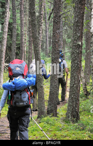 Rucksack im Prince Albert National Park. Auf die grau-Eule. Stockfoto