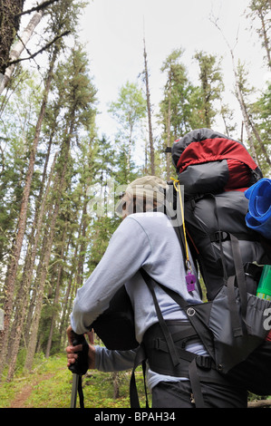 Rucksack im Prince Albert National Park. Auf die grau-Eule. Stockfoto