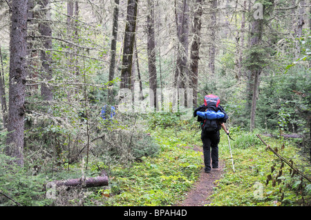 Rucksack im Prince Albert National Park. Auf die grau-Eule. Stockfoto