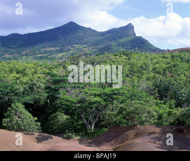 Landschaftsbild von Chamarel, Black River District, Republik von Mauritius Stockfoto