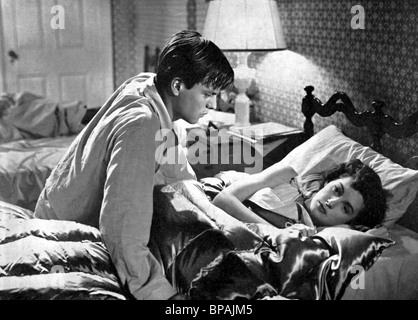 ROBERT WAGNER, BARBARA BATES, MACHEN WIR ES LEGAL, 1951 Stockfoto