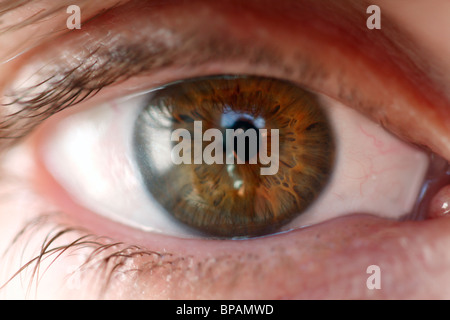 Nahaufnahme eines Mannes Auge Stockfoto