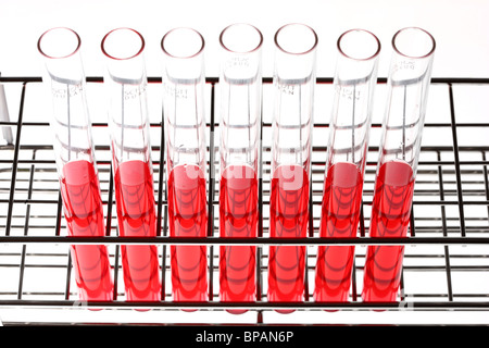 Chemikalien in Reagenzgläser. Flüssige Chemikalien in einem chemischen Labor. Stockfoto