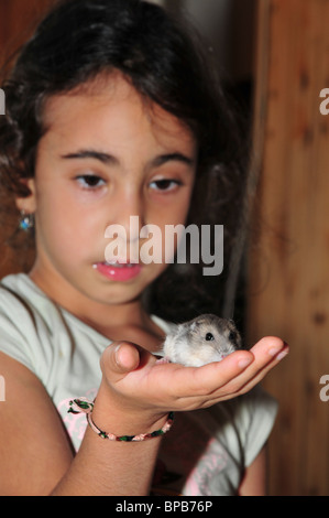 PET-Winter weiße russische Zwerg Hamster (Phodopus Sungorus) Stockfoto