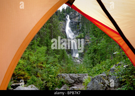 Zelten im Wald Stockfoto