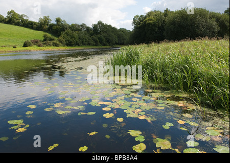 Blick auf den River Erne in Co. Cavan, Irland Stockfoto