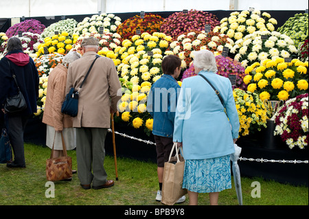 Shrewsbury Flower Show 2010 Besucher bewundern Blumen, Shropsgire, UK Stockfoto