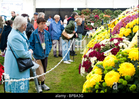 Shrewsbury Flower Show 2010 Besucher bewundern Blumen, Shropsgire, UK Stockfoto