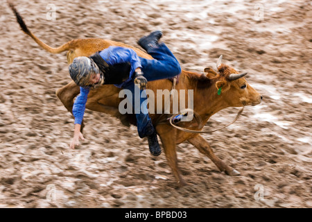 Junger Cowboy Reiten einen jungen Stier, Chaffee County Fair & Rodeo Stockfoto