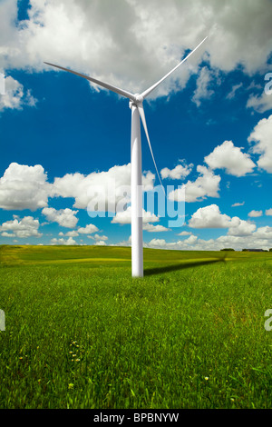 Saubere Energie von einem Windmühlen-park Stockfoto