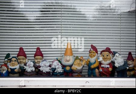 Gartenzwerge in Folge auf einem Fensterbrett, Chichester West Sussex England UK Stockfoto