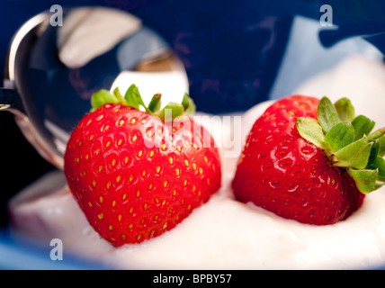 Erdbeeren in Creme in eine blaue Schale mit Löffel Stockfoto