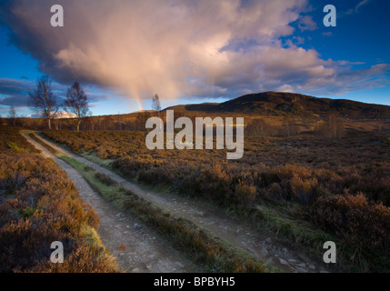 Schottland, Schottisches Hochland, Cairngorm National Park. Fahrzeug-Track läuft durch offene Heidelandschaft Abernethy Waldnähe. Stockfoto
