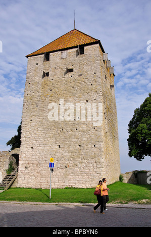 Der Pulverturm, Altstadt, Visby, Gotland Region (Gotlands Kommun), Königreich Schweden Stockfoto