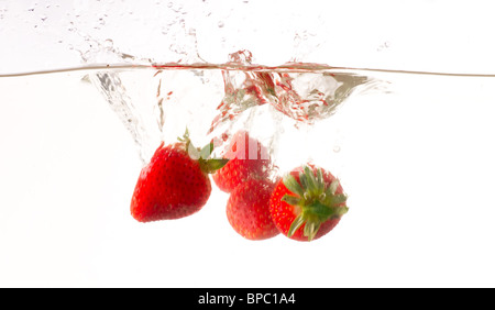 Einige Erdbeeren fiel ins Wasser mit einem Schuss vor einem weißen Hintergrund. Stockfoto