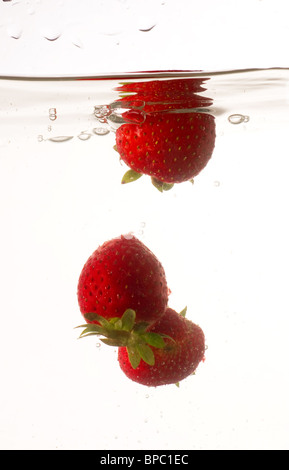 Einige Erdbeeren fiel ins Wasser mit einem Schuss vor einem weißen Hintergrund. Stockfoto
