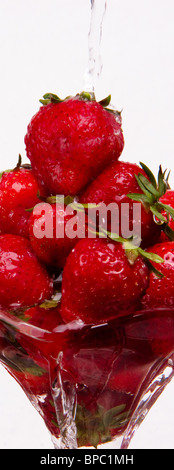 Ein Glas voll von rohen, frischen Erdbeeren. Stockfoto
