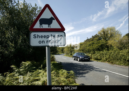 Achtung Schild mit der Aufschrift Shep liegen im Straßen-, Dartmoor, Devon Stockfoto