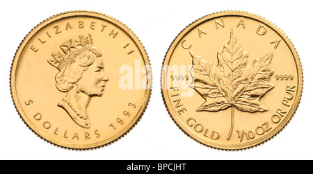 Kanadische Goldmünze - 1/10 Unze Maple Leaf Stockfoto