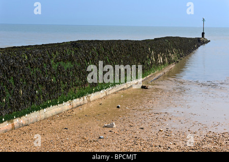 Deich, Clacton on Sea, Großbritannien Stockfoto