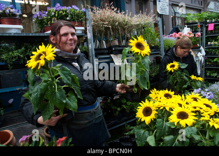 Columbia Road, East London. Sonntagmorgen Blumenmarkt. Zwei Frauen verkaufen Sonnenblumen. Stockfoto