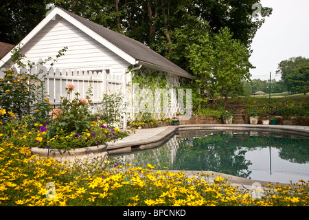 Schaufenster Garten Schwimmbad Stockfoto